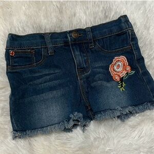 Hudson 3T shorts toddler denim jean floral embroidery adorable